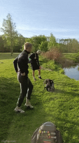 Acid GIFs, May 29 (25 gifs)