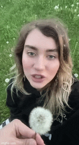 Acid GIFs, May 29 (25 gifs)