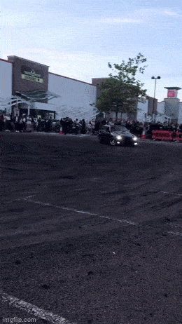 Acid GIFs, May 29 (25 gifs)