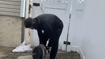 Acid GIFs, May 29 (25 gifs)