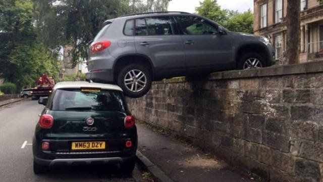 Odd Finds And Situations (45 pics)