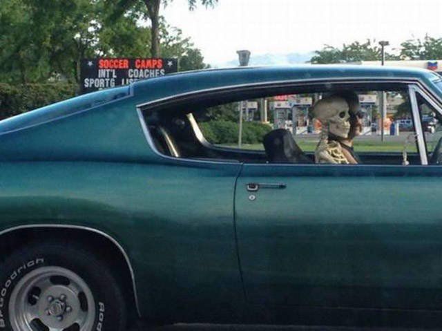 Strange Finds And Situations On The Road (32 pics)