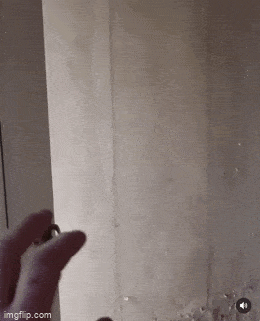 Acid GIFs, June 2 (25 gifs)