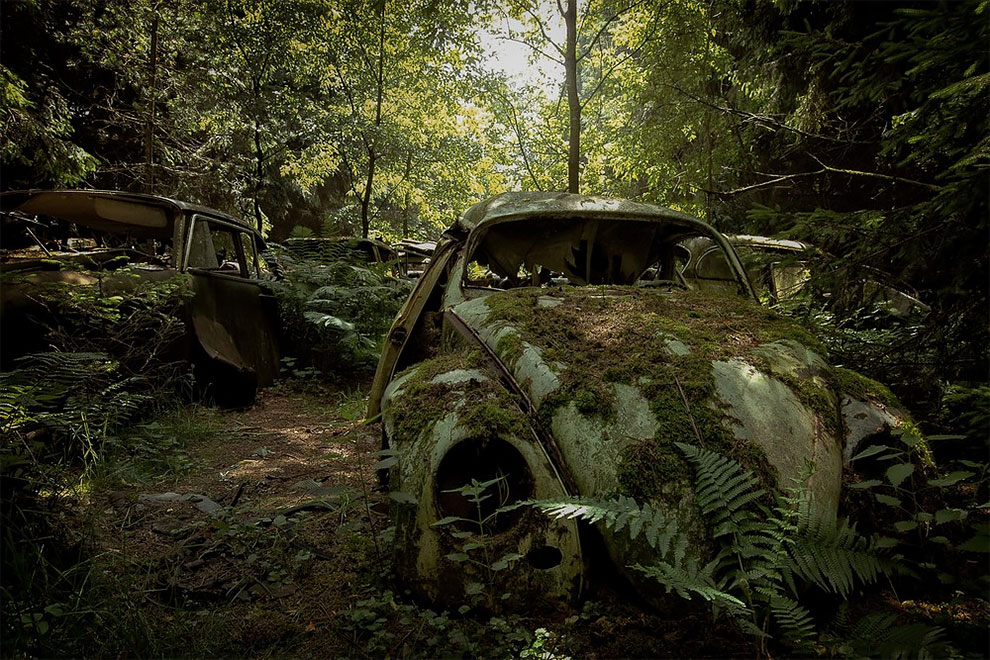 "Cemeteries" Of Cars (14 pics)