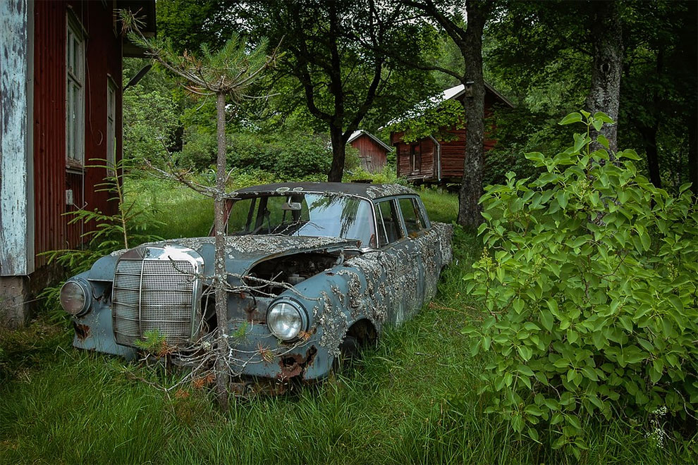 "Cemeteries" Of Cars (14 pics)