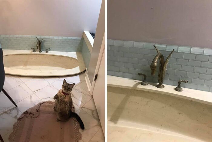 Odd Bathrooms (30 pics)