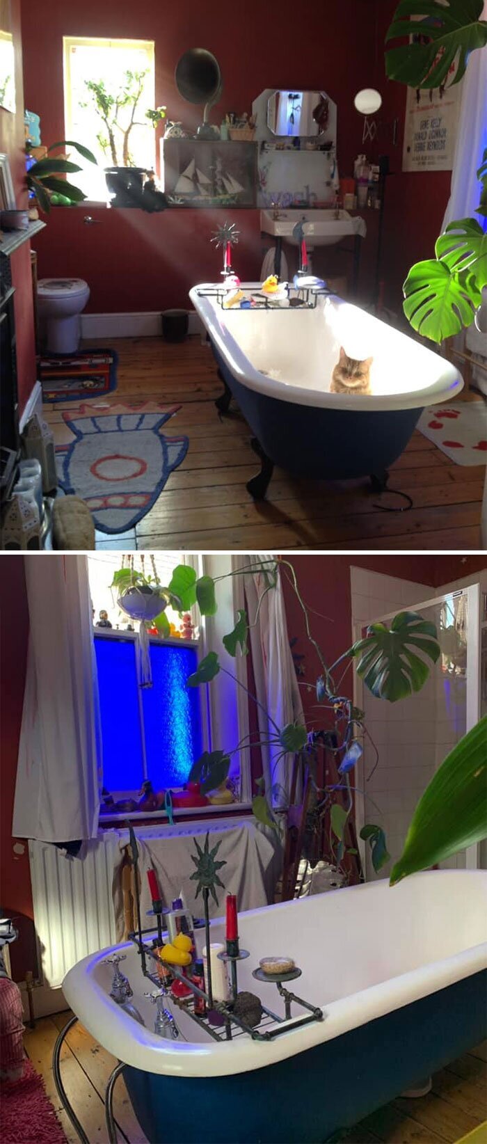 Odd Bathrooms (30 pics)