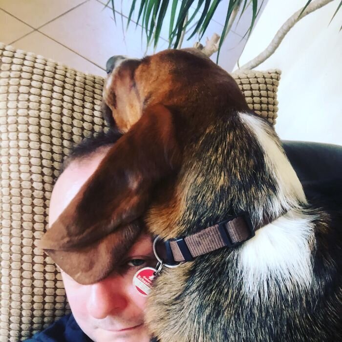 Pets And Remote Work (25 pics)