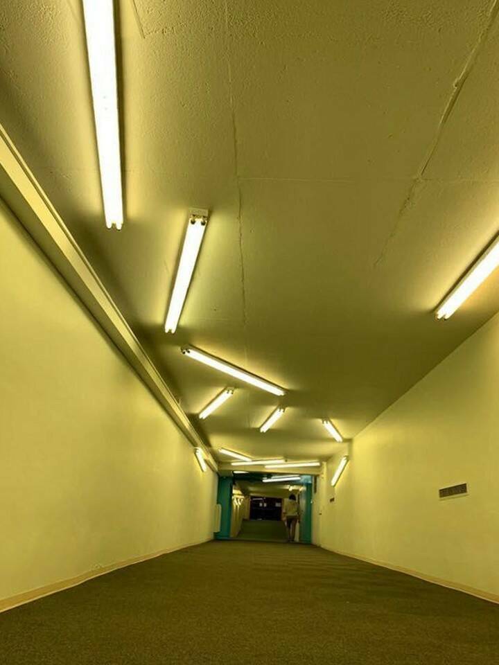 Daily Pictures. Part 2 (69 pics)