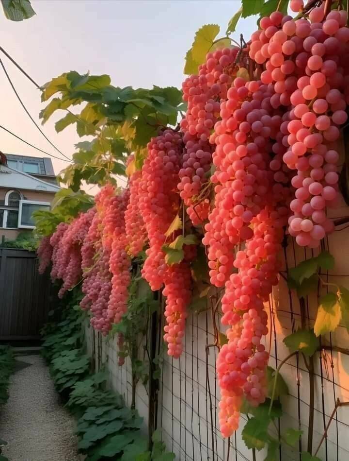 Daily Pictures. Part 1 (70 pics)