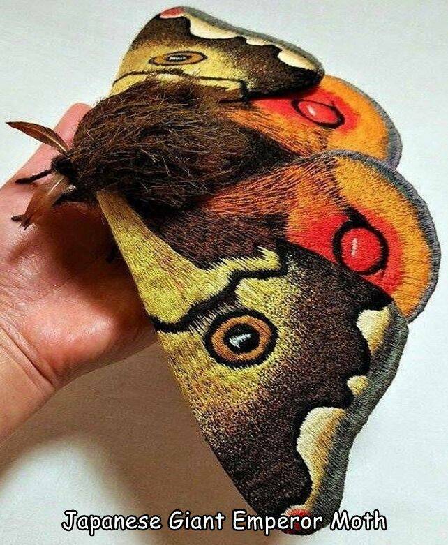 Daily Pictures. Part 2 (69 pics)