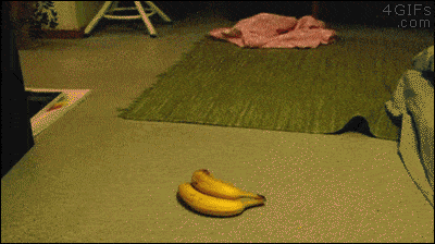Acid GIFs, June 5 (25 gifs)