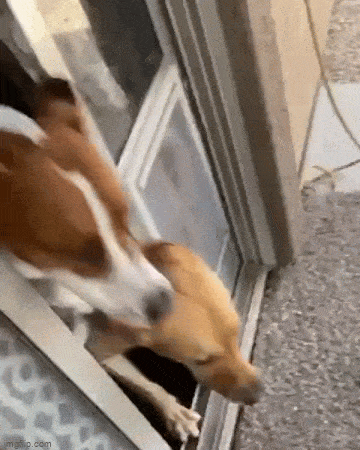 Acid GIFs, June 5 (25 gifs)