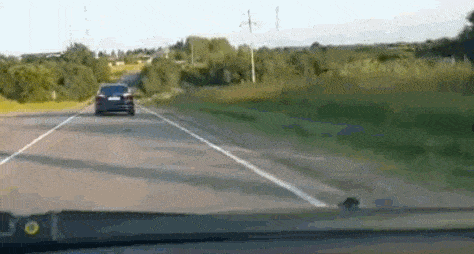 Acid GIFs, June 5 (25 gifs)
