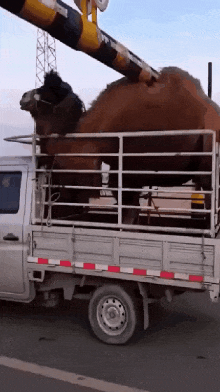Acid GIFs, June 5 (25 gifs)