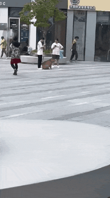 Acid GIFs, June 5 (25 gifs)