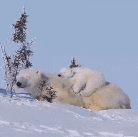 Acid GIFs, June 5 (25 gifs)