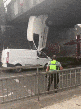 Acid GIFs, June 5 (25 gifs)