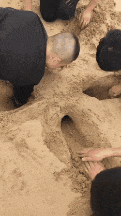 Acid GIFs, June 5 (25 gifs)