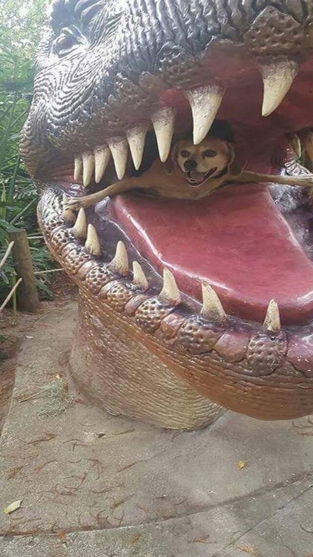 Daily Pictures. Part 2 (67 pics)