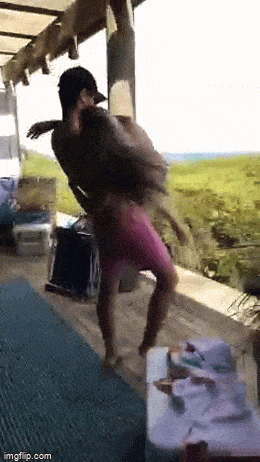 Acid GIFs, June 7 (25 gifs)