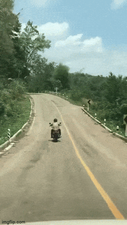 Acid GIFs, June 7 (25 gifs)