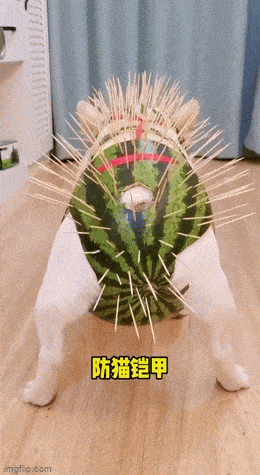 Acid GIFs, June 7 (25 gifs)