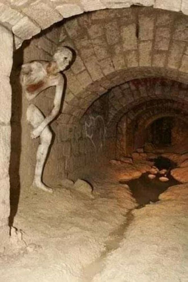 Creepy Photos (23 pics)