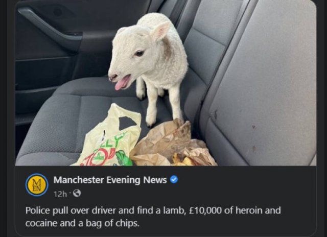 Weird And Funny Headlines (26 pics)