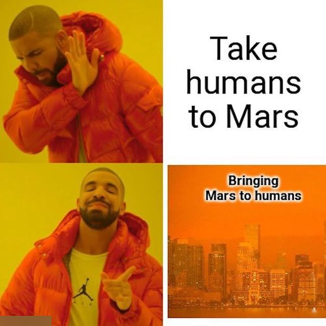 Memes About Smog In New York (25 pics)