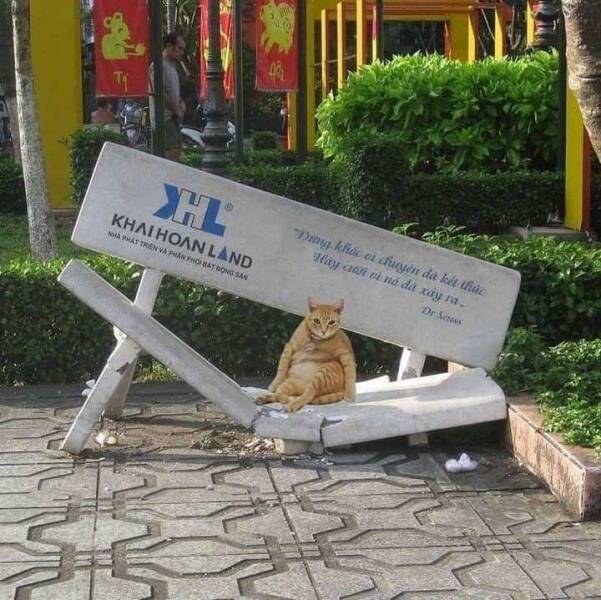 Daily Pictures. Part 1 (72 pics)