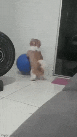 Acid GIFs, June 12 (25 gifs)
