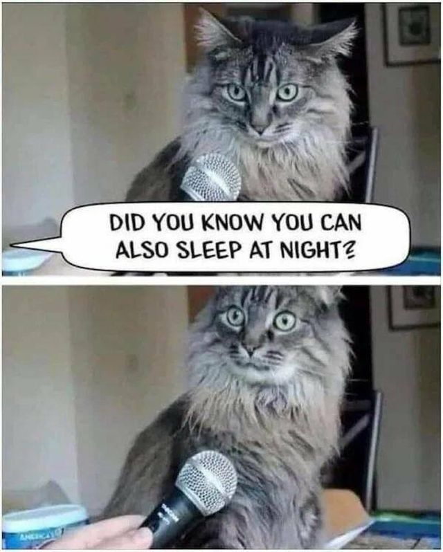 Funny Memes (15 pics)