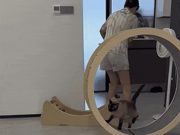 Acid GIFs, June 14 (25 gifs)