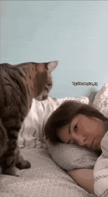 Acid GIFs, June 14 (25 gifs)