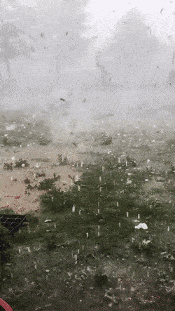 Acid GIFs, June 14 (25 gifs)