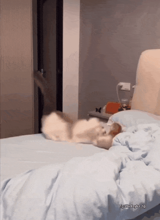 Acid GIFs, June 14 (25 gifs)