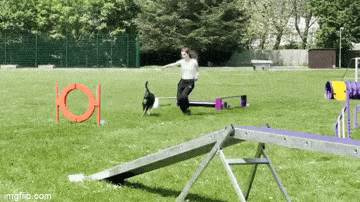 Acid GIFs, June 14 (25 gifs)