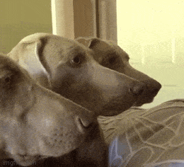 Acid GIFs, June 14 (25 gifs)