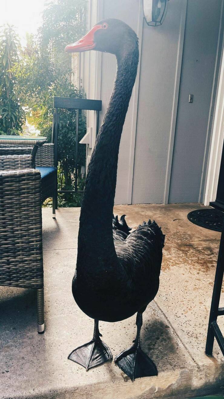 Daily Pictures. Part 1 (73 pics)