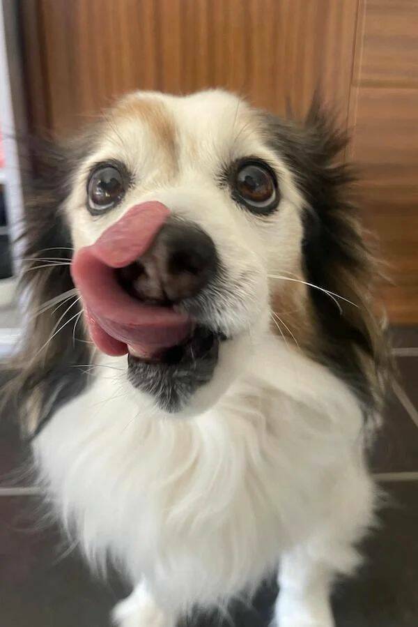 Daily Pictures. Part 1 (73 pics)