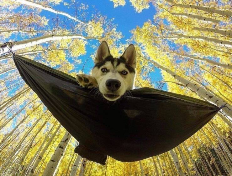 Daily Pictures. Part 1 (73 pics)