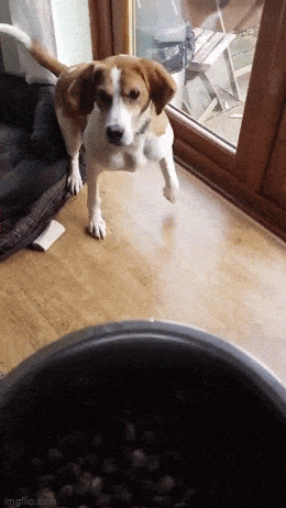 Acid GIFs, June 19 (25 gifs)