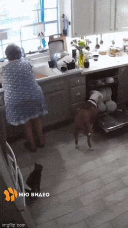 Acid GIFs, June 19 (25 gifs)