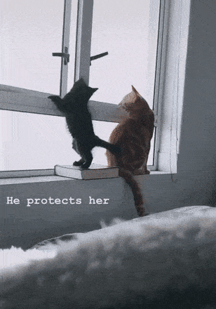 Acid GIFs, June 20 (25 gifs)