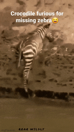 Acid GIFs, June 20 (25 gifs)