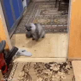 Acid GIFs, June 20 (25 gifs)