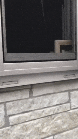 Acid GIFs, June 20 (25 gifs)