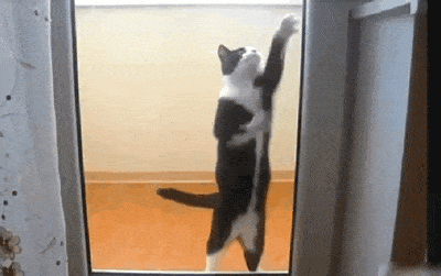 Acid GIFs, June 20 (25 gifs)