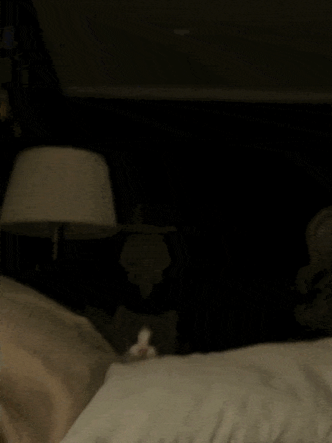 Acid GIFs, June 20 (25 gifs)